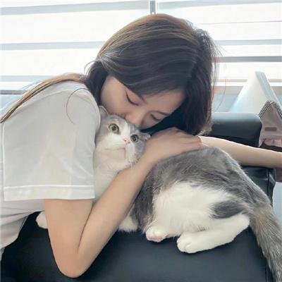 仙女座报告